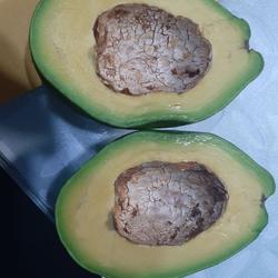 Alpukat Mentega