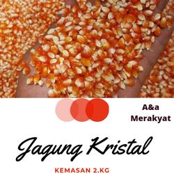Jual Jagung Kristal Murah Harga Terbaru 2021 Jual Jagung Kristal Murah Harga Terbaru 2021