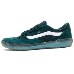 ave vans 2019