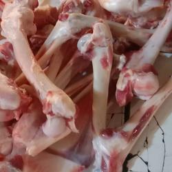 tulang sumsum kambing