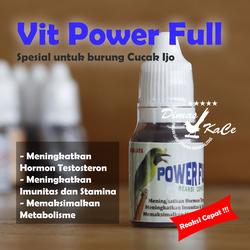 Jual Vitamin Burung Cucak Ijo Terlengkap Terbaik Harga Murah August 2021