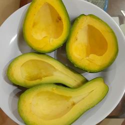 Jual Buah Alpukat Terdekat - Harga Murah u0026 Grosir December 2021
