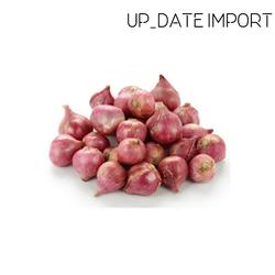 bawang merah