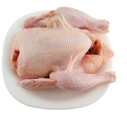 karkas ayam broiler potong utuh 04-05