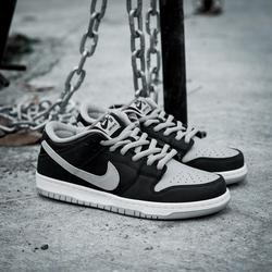 nike low dunks sb