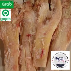urat Mayang / urat tendon