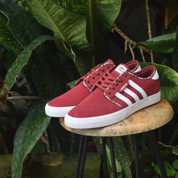 Jual Sepatu Adidas Skateboarding Seeley 