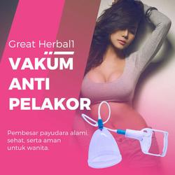 Jual Buah Dada Montok Terlengkap Harga Murah November 2021