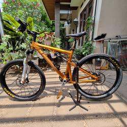 Jual Santa Cruz Blur Terlengkap 