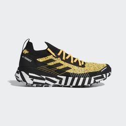 adidas terrex 2