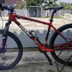 Jual Giant Talon Murah \u0026 Terbaik di 
