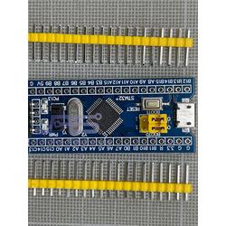 Jual STM32F103C8T6 Arm STM32 Blue Pill Development Board Module STM 32 ...