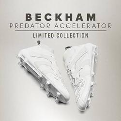 predator accelerator 4d