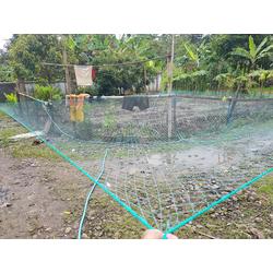 jaring anco nilon 2 inchi 3m x 3m benang D3