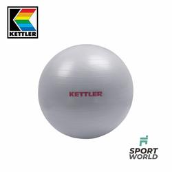 reebok gym ball 55cm