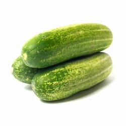 Jual Timun Segar Terdekat Harga Murah Grosir November 2021