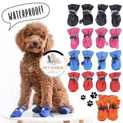 small dog shoes