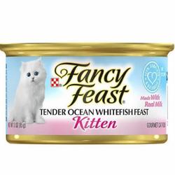 fancy feast white cat