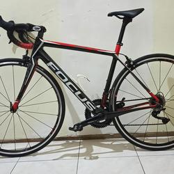 Jual Focus Cayo Terlengkap - Harga 
