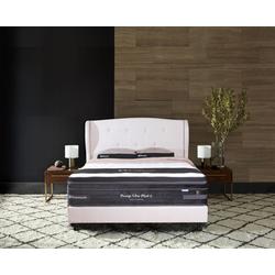 Jual Kasur Sealy Terbaik Harga Murah August 2021 Cicil 0