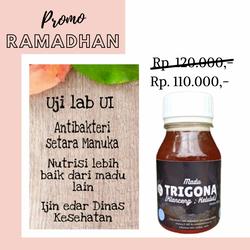 Madu Trigona Kelulut Asli Murni 350 Gram