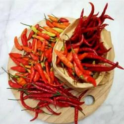 Jual Cabe Merah Keriting Terdekat Harga Murah Grosir January 2022 Jual Cabe Merah Keriting Terdekat Harga Murah Grosir January 2022
