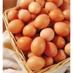 Telur Ayam Negri / Telor Ayam (OJOL)