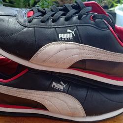 puma old