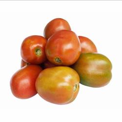 Jual Tomat Terdekat Harga Murah Grosir November 2021