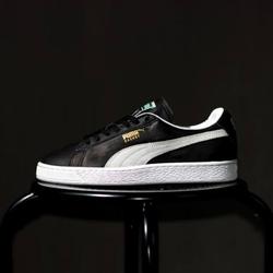 puma basket og premium