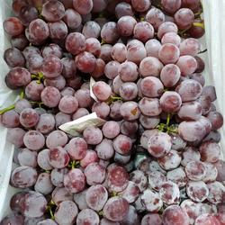 ANGGUR MERAH MANIS,FRESH, SUPER, (/500 gram) Buah