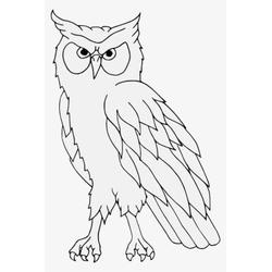 910+ Gambar Burung Hantu Untuk Kolase Gratis Terbaru