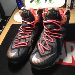 lebron 12 elite team