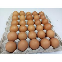 Jual Telur Ayam 30 Butir Terlengkap Harga Murah November 2021