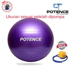 reebok gym ball 55cm