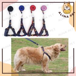 pet harness