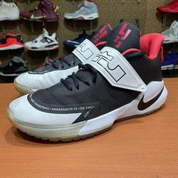 nike lebron ambassador 12