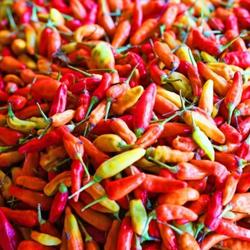 Cabe Rawit 500gr