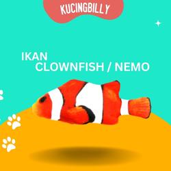Mainan kucing - Boneka catnip ikan - Nemo