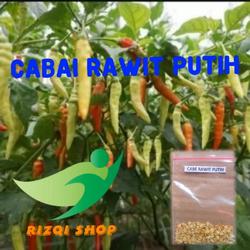 benih bibit cabai rawit putih Merah Tanaman benih bibit pohon cabe pedas