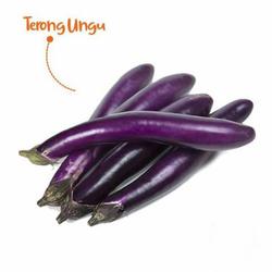 Terong ungu 250gram