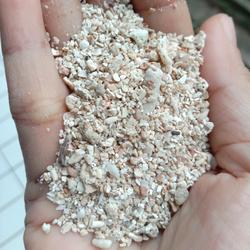 Pasir Pantai Kasar 1kg