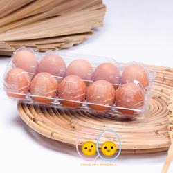 MIKA TELUR AYAM 10 LUBANG SUDAH ADA PENGUNCI 50 PCS