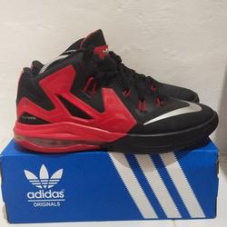lebron ambassador 5