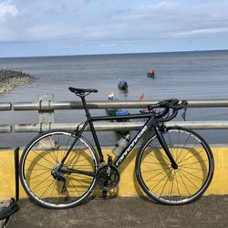 Jual Cannondale Caad10 Terbaik - Harga 