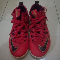 lebron ambassador 8