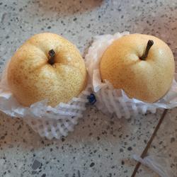 Pir Century Pear Century Manis
