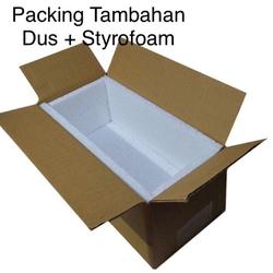 PACKING STROFOAM+KARDUS PACKING