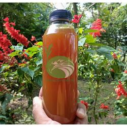 Madu Nextar Bunga Kaliandra 350ML