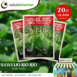 Benih Sayuran Sawi Hijau Caisim @ 20 gr Bibit Sayur Hidroponik Organik